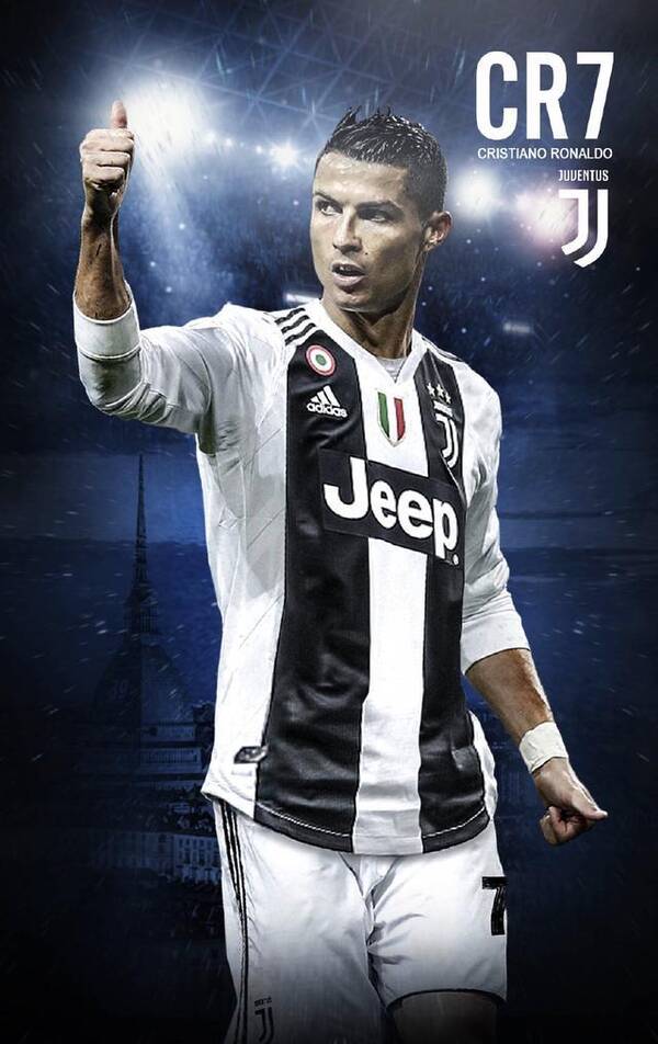 仅体现了对 仅体现了对