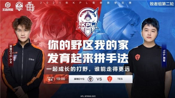 我国的羽毛 我国的羽毛