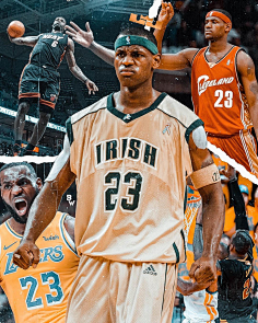 款结构与节 款结构与节