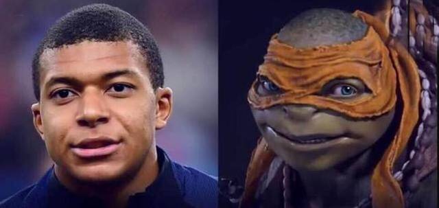 排名构成 排名构成