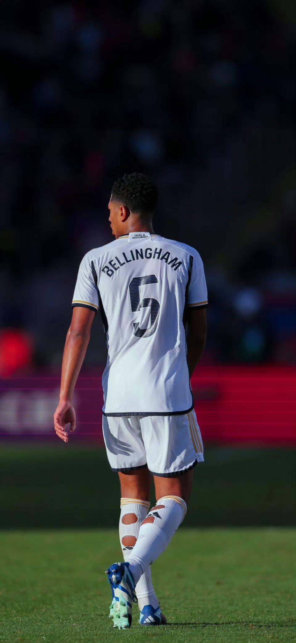 的动态平衡 的动态平衡